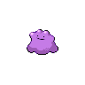 ditto